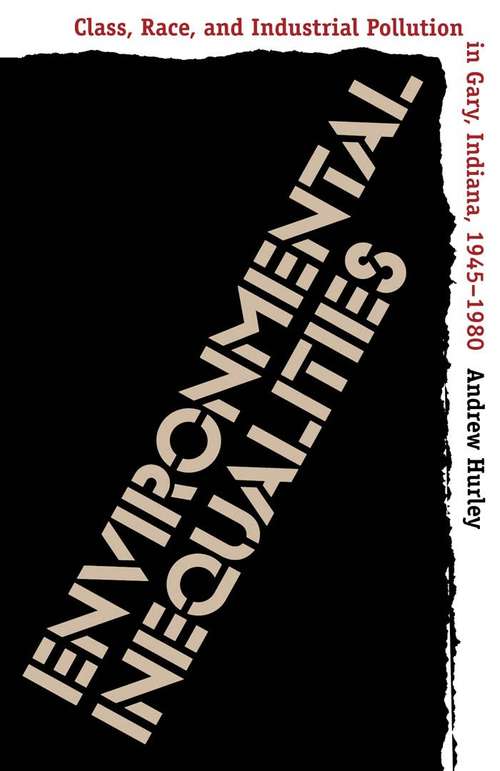 Book cover of Environmental Inequalities