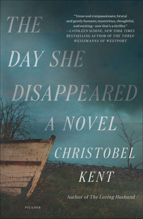 Book cover of The Day She Disappeared: A Novel