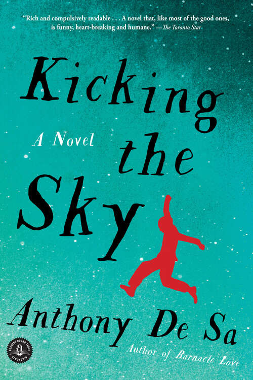 Book cover of Kicking the Sky