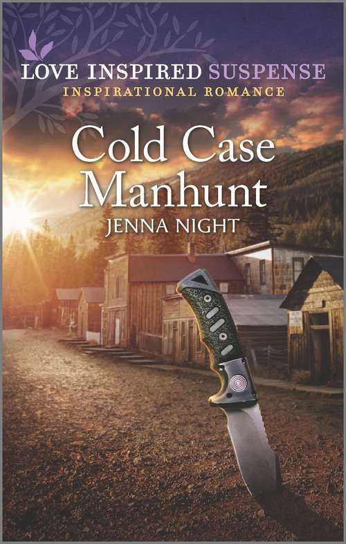 Cold Case Manhunt (Rock Solid Bounty Hunters #3)