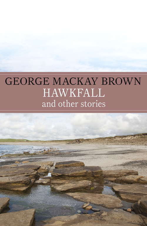 Book cover of Hawkfall