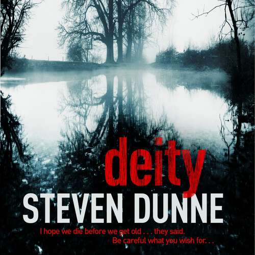 Book cover of Deity: Deity (DI Damen Brook 3) (DI Damen Brook #3)