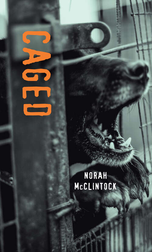 Book cover of Caged (Orca Soundings)