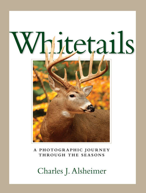 Book cover of Whitetails