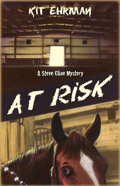 Book cover of At Risk (Steve Cline Series #1)