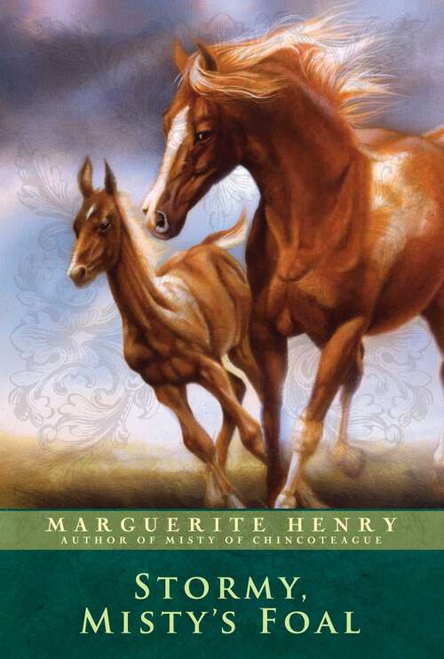 Book cover of Stormy, Misty's Foal