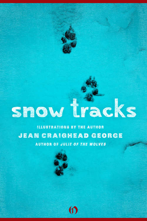 Book cover of Snow Tracks