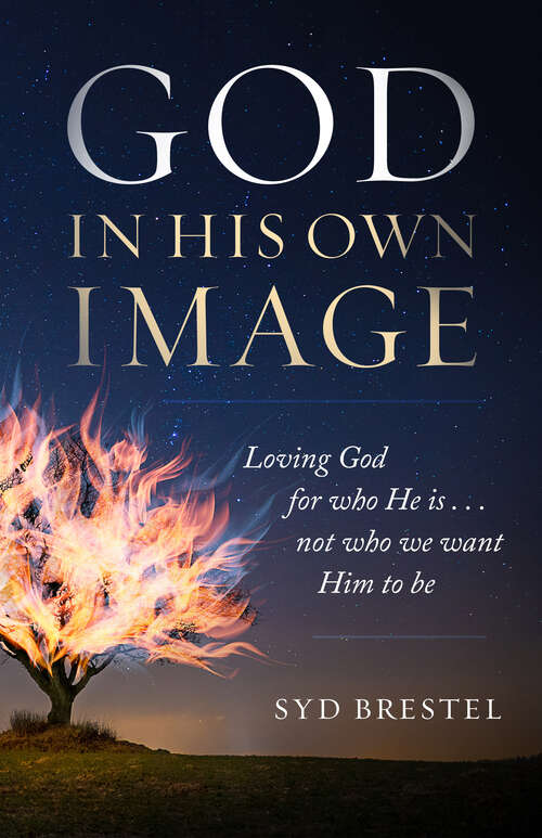 Book cover of God in His Own Image: Loving God for Who He Is... Not Who We Want Him to Be