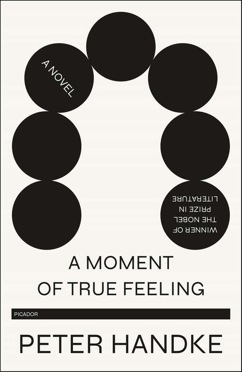 Book cover of A Moment of True Feeling: A Novel