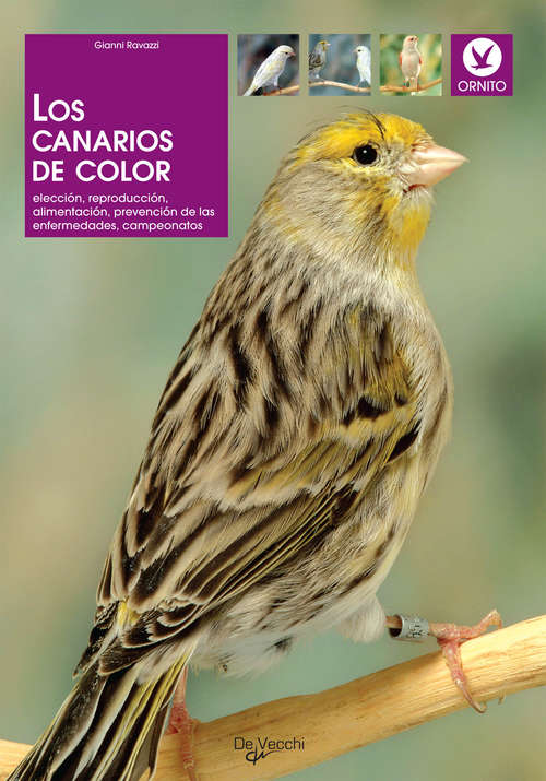 Book cover of Los canarios de color