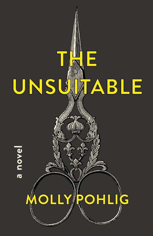 Book cover of The Unsuitable: A Novel