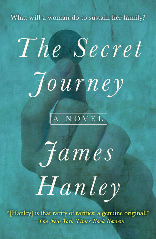 Book cover of The Secret Journey