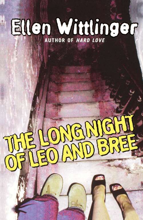 Book cover of The Long Night of Leo and Bree