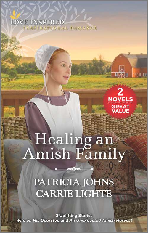 Book cover of Healing an Amish Family (Reissue)