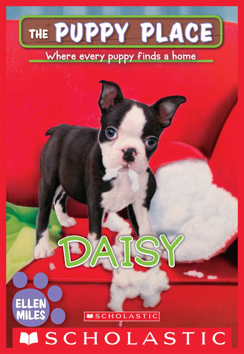 Book cover of Daisy (The Puppy Place #38)