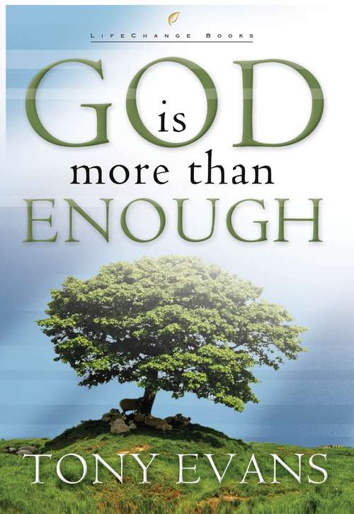 God Is More Than Enough (LifeChange Books)