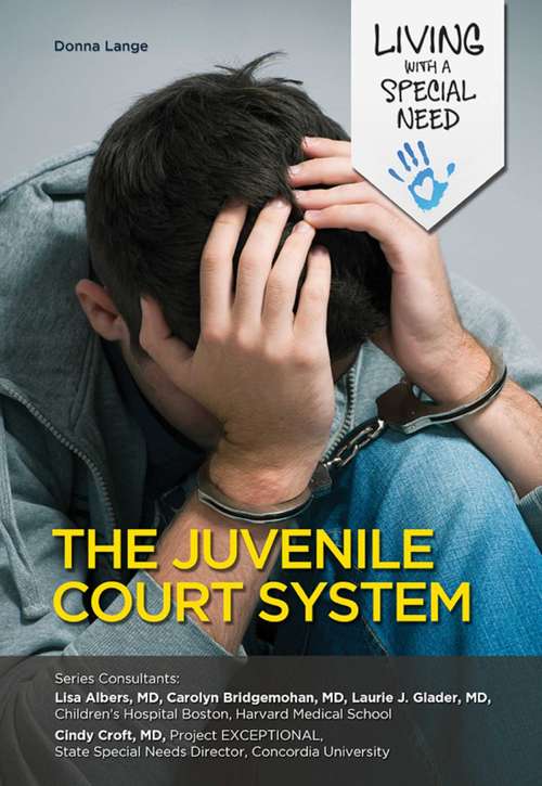 Book cover of The Juvenile Court System