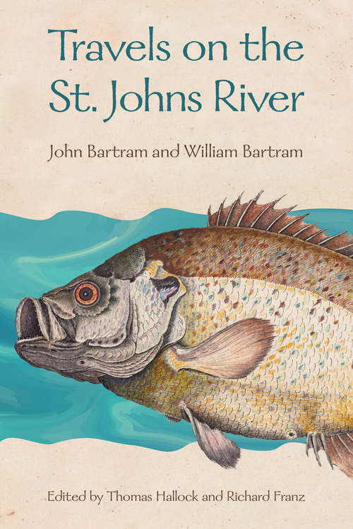 Book cover of Travels on the St. Johns River