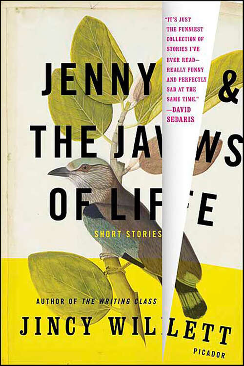 Book cover of Jenny & the Jaws of Life: Short Stories
