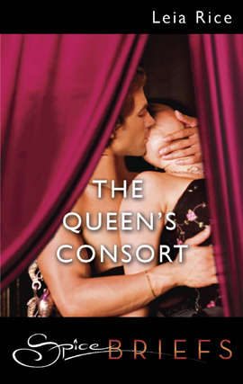 Book cover of The Queen's Consort