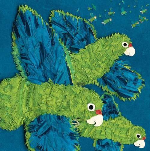 Book cover of Parrots Over Puerto Rico