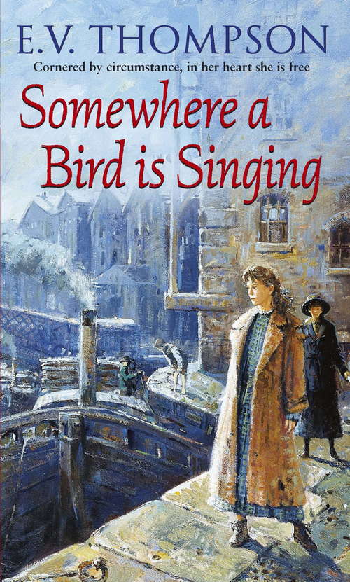 Book cover of Somewhere A Bird Is Singing