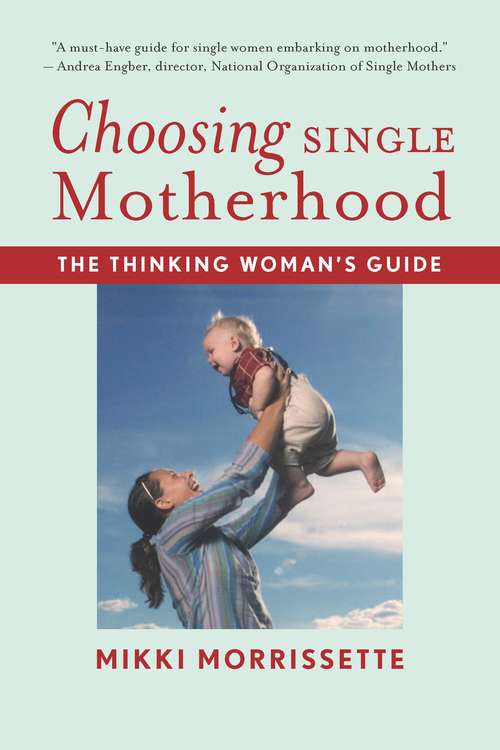Book cover of Choosing Single Motherhood
