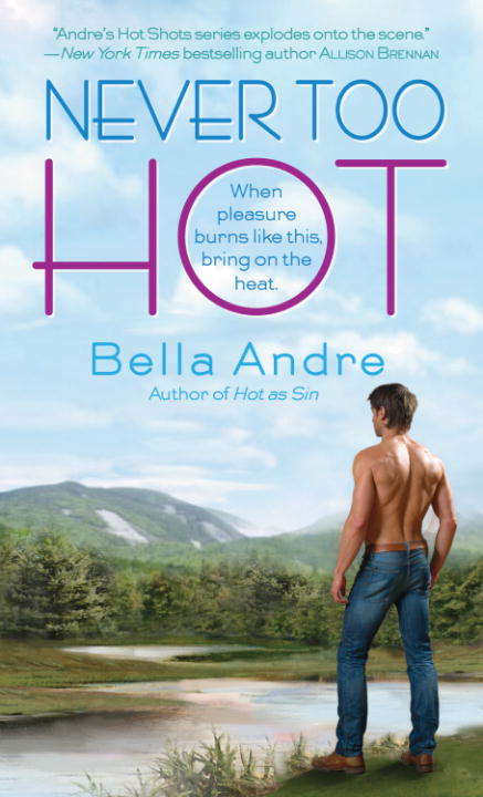 Book cover of Never Too Hot