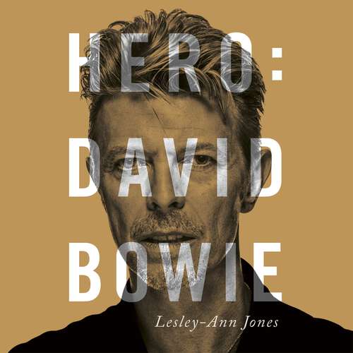 Book cover of Hero: David Bowie