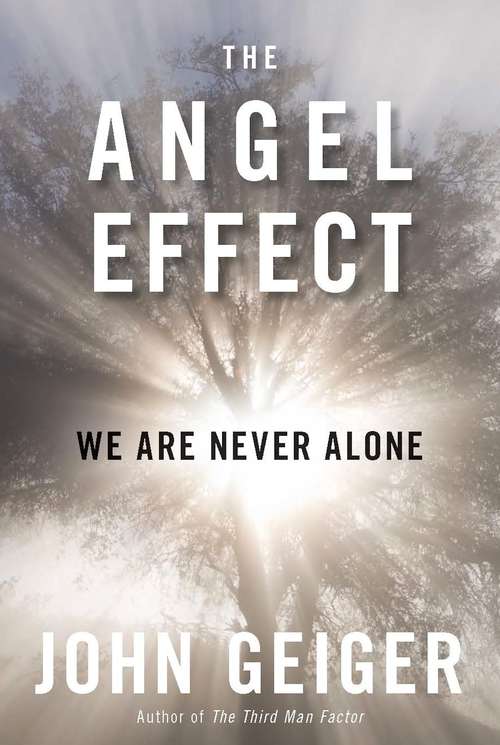 Book cover of The Angel Effect