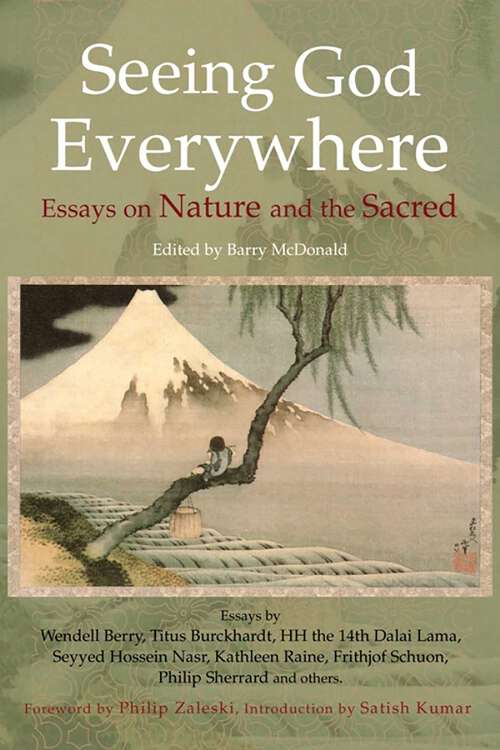 Book cover of Seeing God Everywhere: Essays On Nature