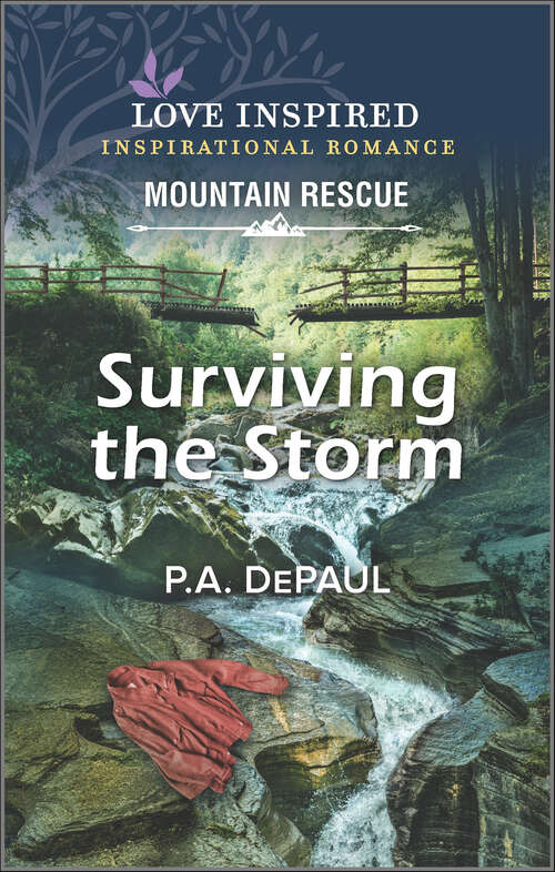 Book cover of Surviving the Storm (Original) (Mountain Rescue)
