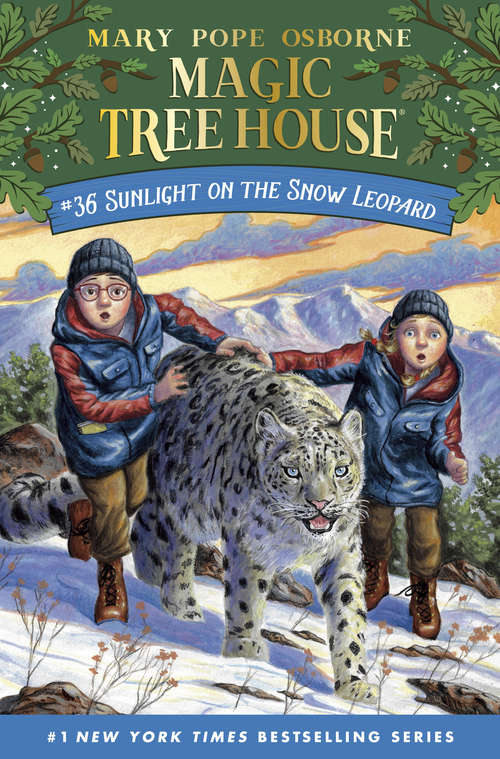 Book cover of Sunlight on the Snow Leopard (Magic Tree House (R) #36)