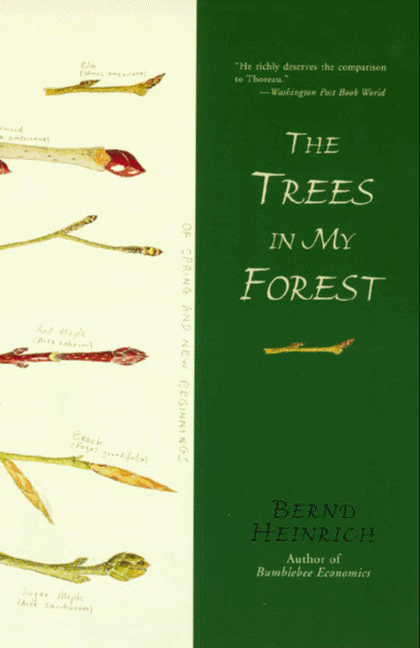 Book cover of The Trees in My Forest