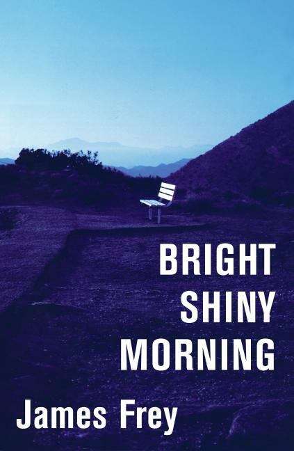 Book cover of Bright Shiny Morning