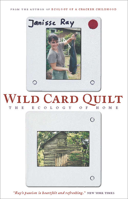 Book cover of Wild Card Quilt