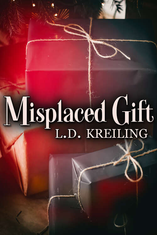 Book cover of Misplaced Gift