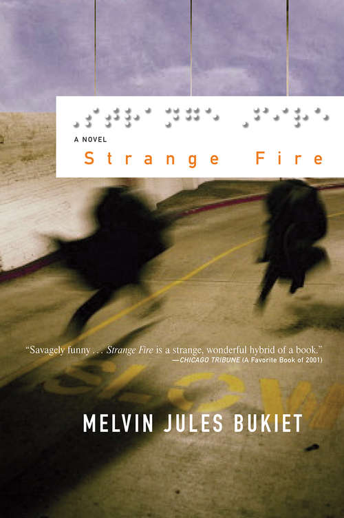 Book cover of Strange Fire: A Novel