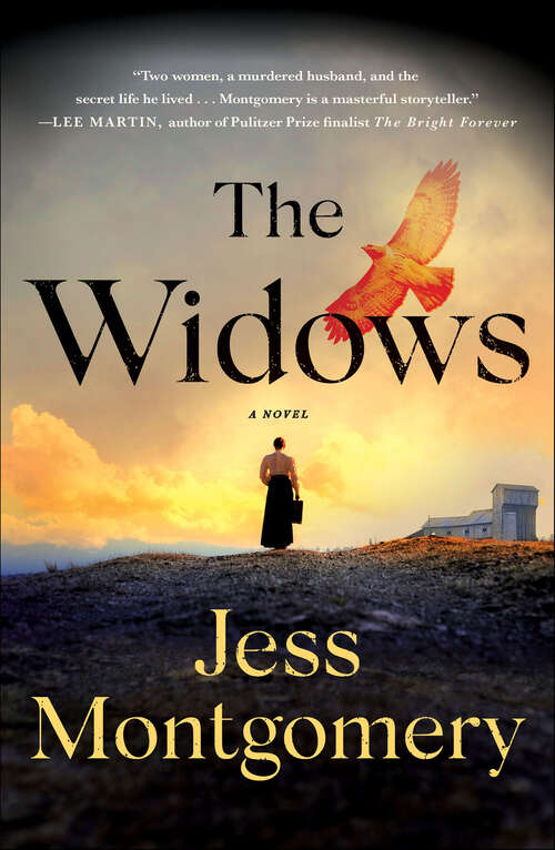 Book cover of The Widows: A Novel (The Kinship Series #1)
