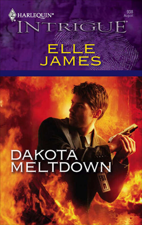 Book cover of Dakota Meltdown