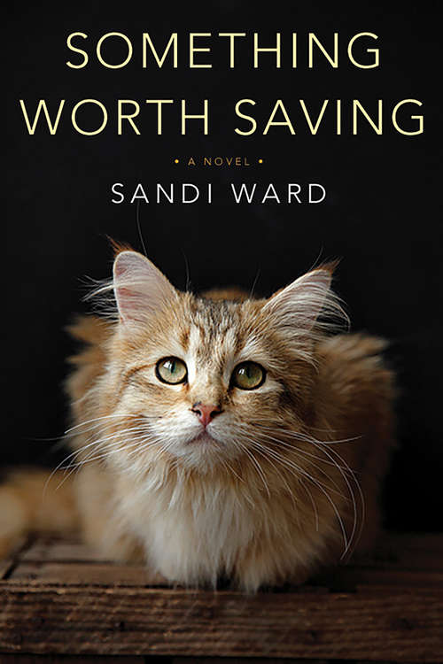 Book cover of Something Worth Saving