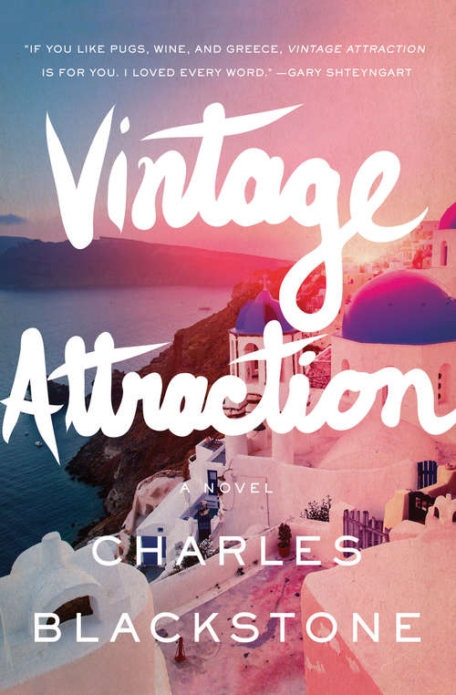 Book cover of Vintage Attraction