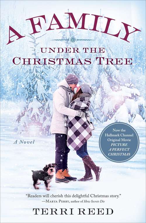 Book cover of A Family Under the Christmas Tree: A Novel