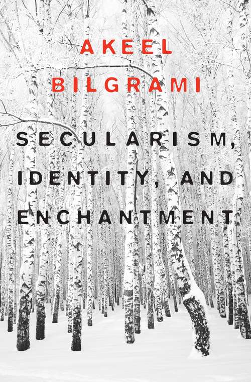 Book cover of Secularism, Identity, and Enchantment
