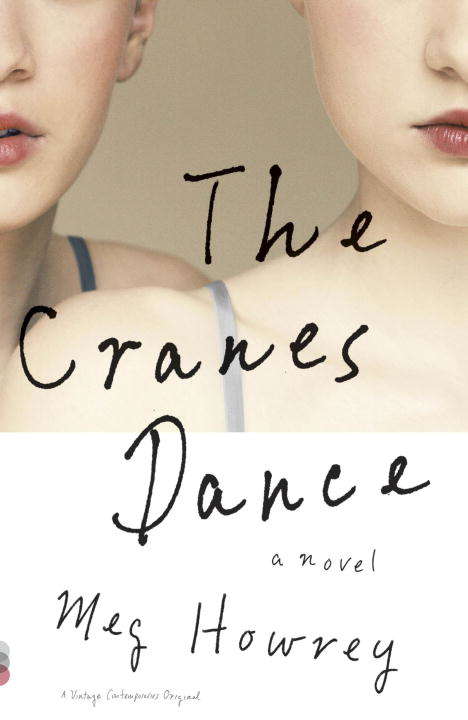 Book cover of The Cranes Dance