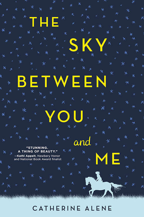 Book cover of The Sky between You and Me