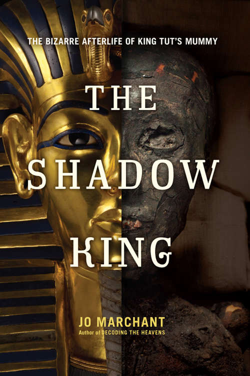 Book cover of The Shadow King