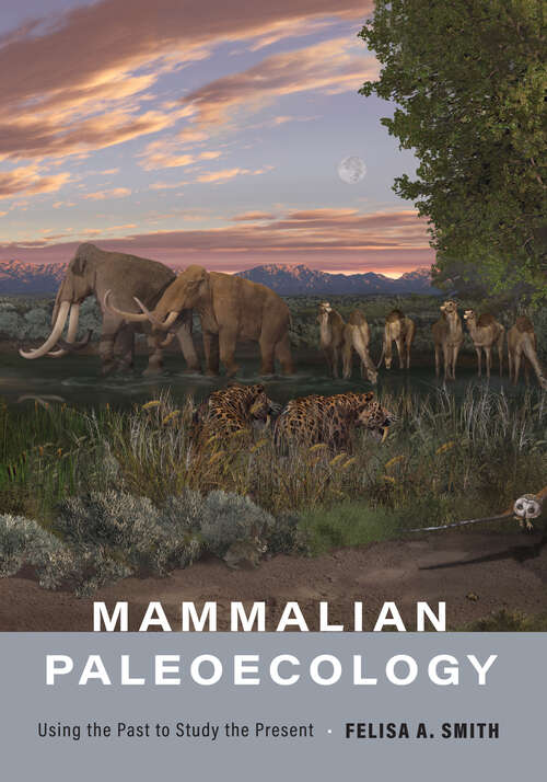 Book cover of Mammalian Paleoecology: Using the Past to Study the Present