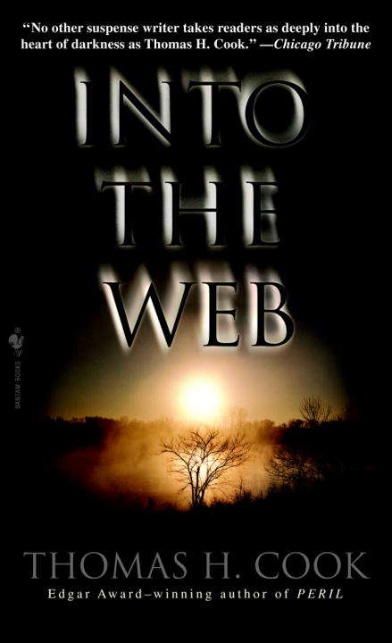 Book cover of Into The Web: A Novel