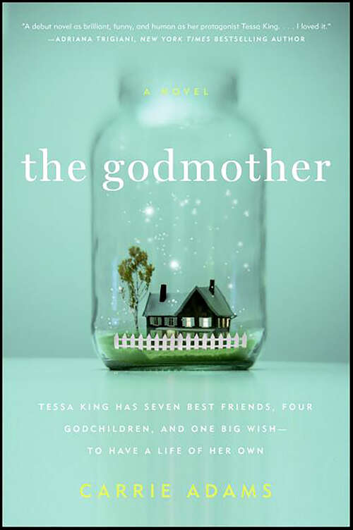 Book cover of The Godmother